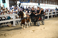 Lot 50