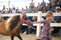 AJB_1419