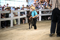 Lot 54