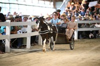 AJB_1455
