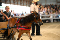 AJB_1470