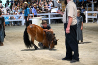 AJB_1477