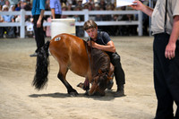 AJB_1479