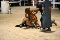 AJB_1481