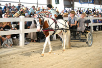 AJB_1516