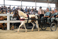 AJB_0911