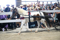AJB_0914