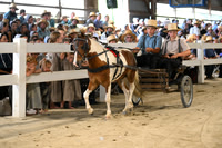AJB_1563