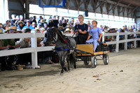 Lot 62