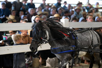 AJB_1572