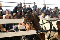 Lot 63