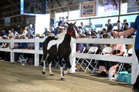 AJB_1591