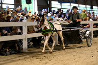 Lot 65