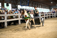 AJB_1598