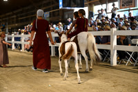AJB_1609