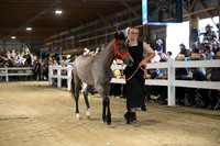 AJB_1623