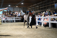 AJB_1624