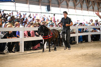 AJB_0918