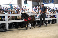 AJB_0919