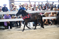 AJB_0920