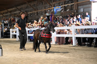 AJB_0921