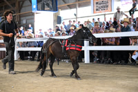 AJB_0922