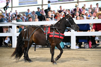 AJB_0923
