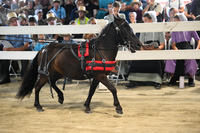 AJB_0924