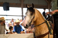 AJB_1658