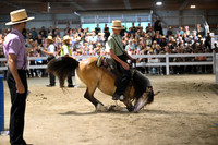 AJB_1663