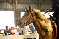Lot 72