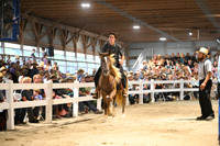 AJB_1686