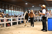 Lot 73