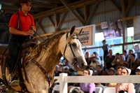 AJB_1725