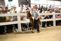 Lot 8