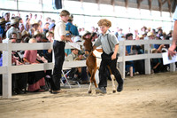 AJB_0928