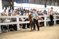 AJB_0929