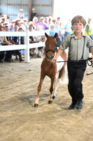 AJB_0931