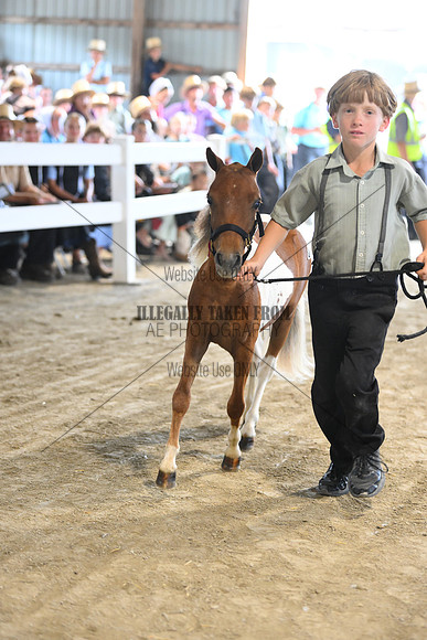 AJB_0931