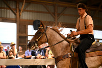 Lot 81