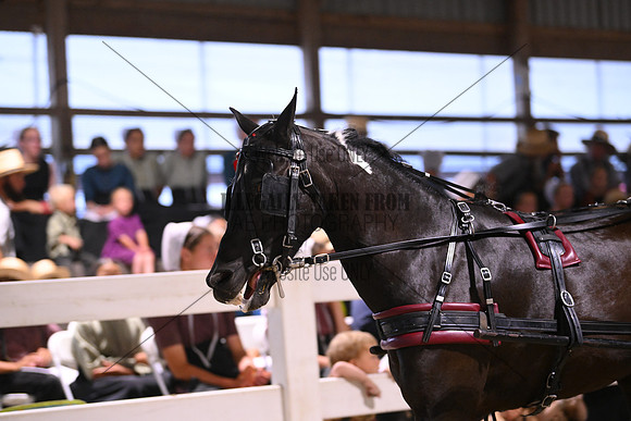 AJB_1810