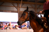 AJB_1824