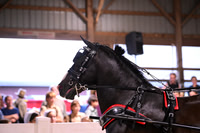AJB_1829