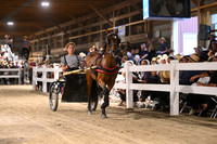 Lot 87
