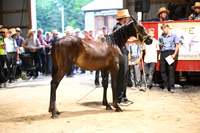 AJB_1851