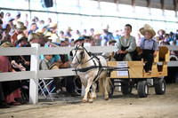 AJB_0939