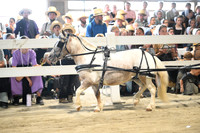 AJB_0942