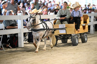 AJB_0948