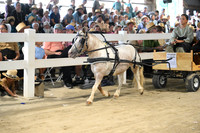 AJB_0949
