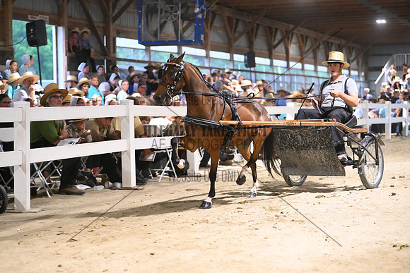 AJB_1874